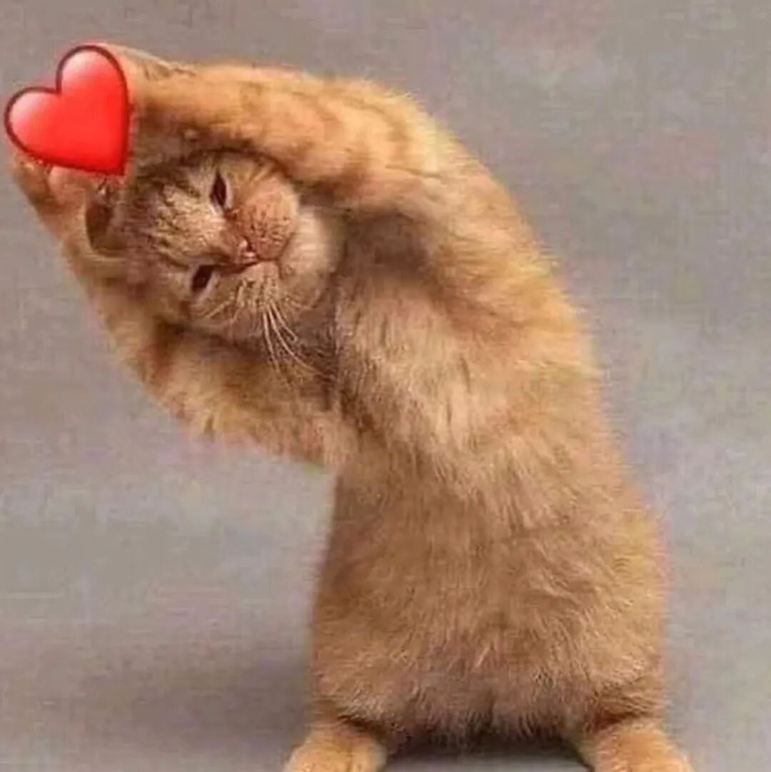 “买了两根烤肠，‘自’一根‘己’一根”爱你老己明天见！！！