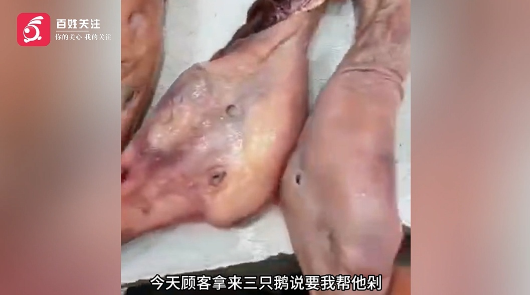 挂鹅头卖鸭肉？顾客买到两只假大鹅：不仔细看都看不出来
