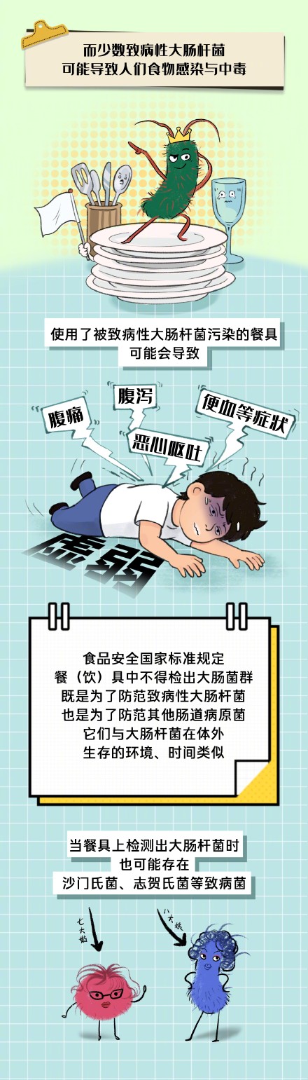 大肠杆菌为什么会出现在饭店餐具上