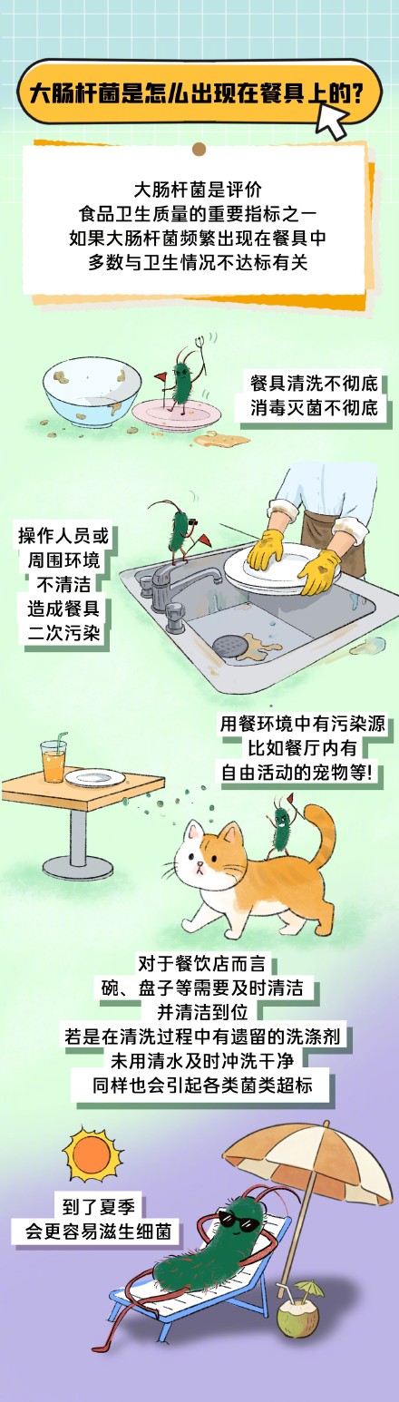 大肠杆菌为什么会出现在饭店餐具上