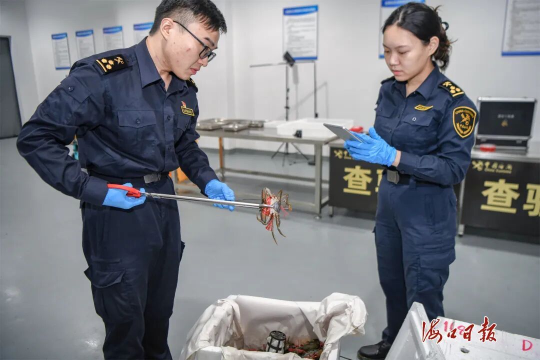 海口美兰机场口岸首票鲜活海鲜通关