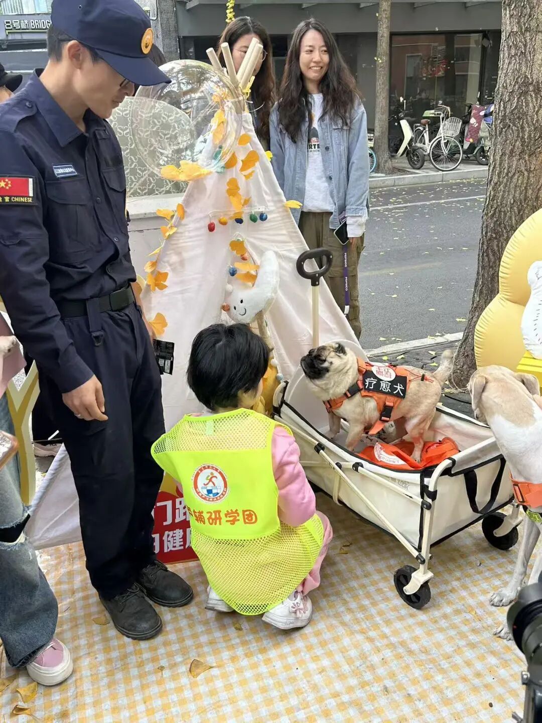 撸狗真能解压！“爪爪疗愈师”，“破冰”孤独症