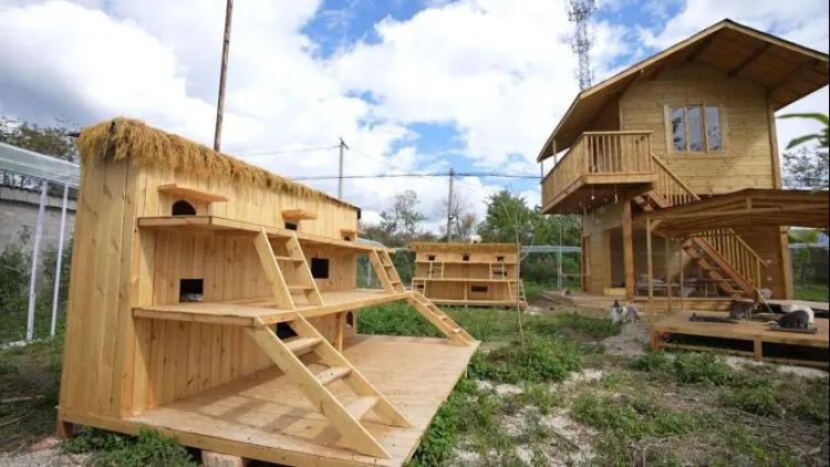 有人一年“蹭”近百场婚宴，就为了打包剩菜带回家？原因很治愈