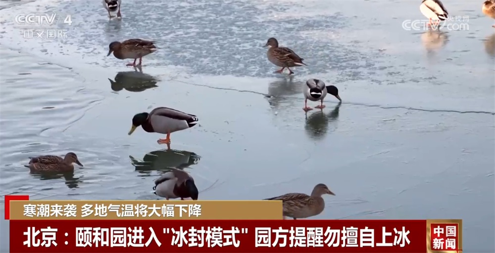 各地积极应对寒潮天气 “多点发力”保通保畅保供暖