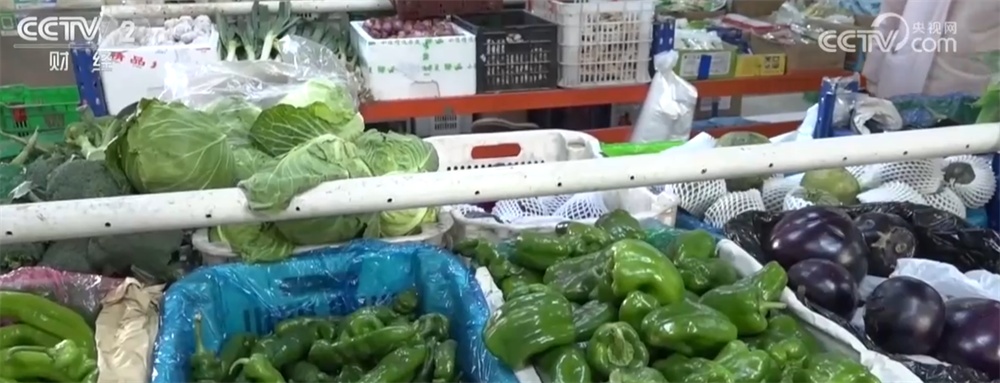 寒潮来袭，“速冻”模式如何应对？各地积极保障供暖和“菜篮子”货足价稳