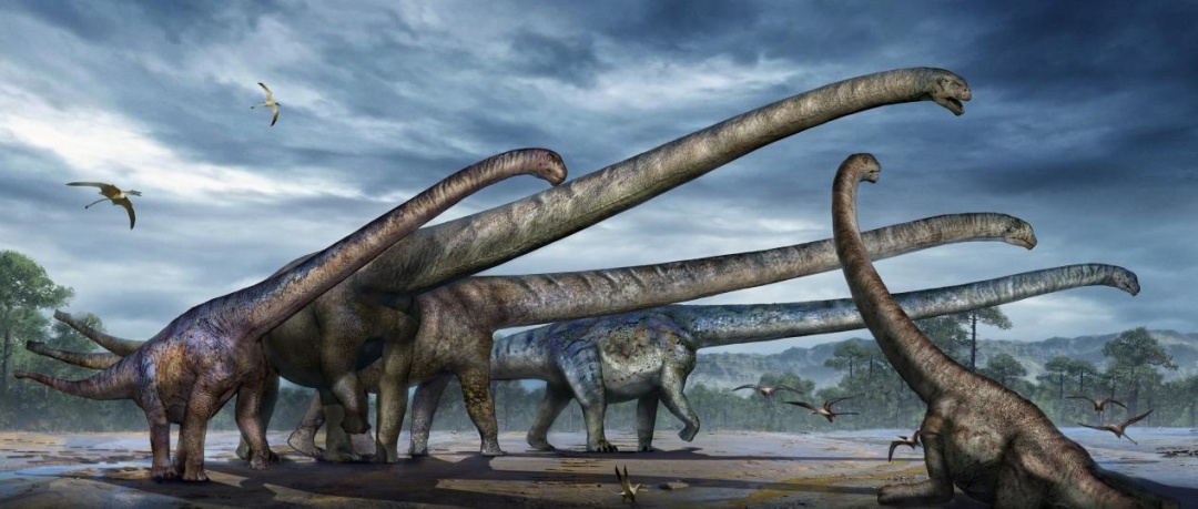 重庆发现恐龙新种！距今约1.6亿年，复原体长24米