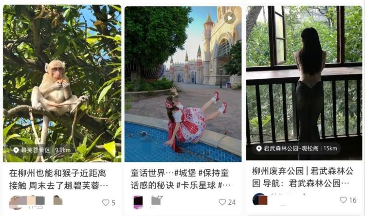 柳州多个停业景区、公园成热门打卡地？管理方提醒：不要去！不要去！