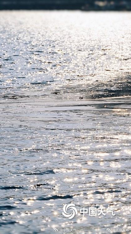 什刹海进入冰水两重天想滑冰还需耐心等待！