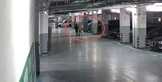 凌晨三点，两男子在杭州一小区地下车库专挑豪车拉车门，出手5分钟就被逮了