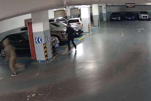 凌晨三点，两男子在杭州一小区地下车库专挑豪车拉车门，出手5分钟就被逮了