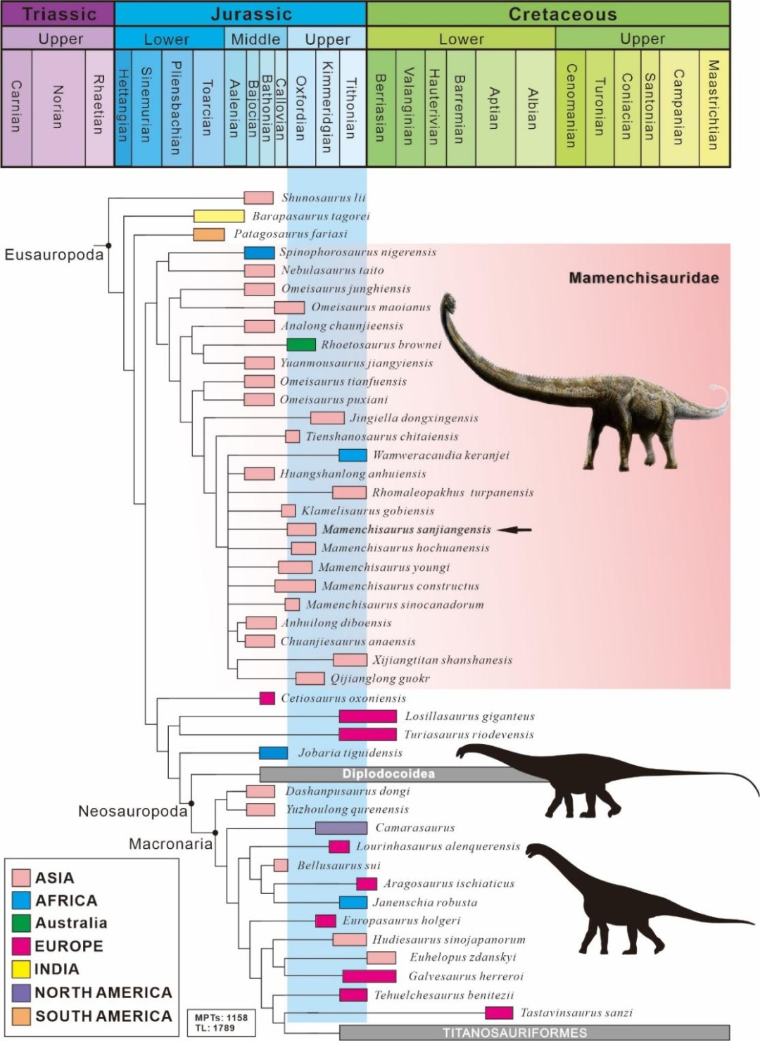 重庆发现恐龙新种！距今约1.6亿年，复原体长24米