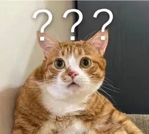 不偷手机只偷手机卡，是什么新“套路”？