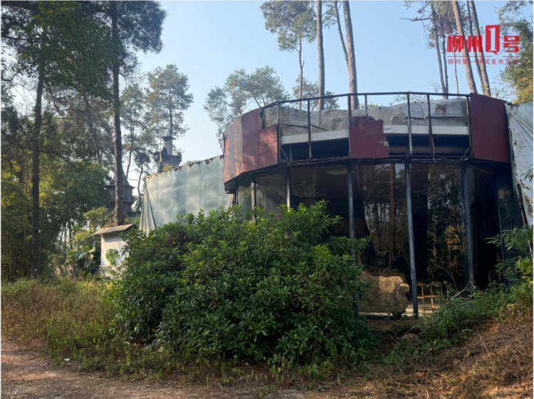 柳州多个停业景区、公园成热门打卡地？管理方提醒：不要去！不要去！