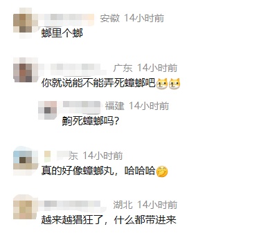 “蟑螂凝胶诱饵”中查获9978克K粉，网友：蟑螂最冤的一次