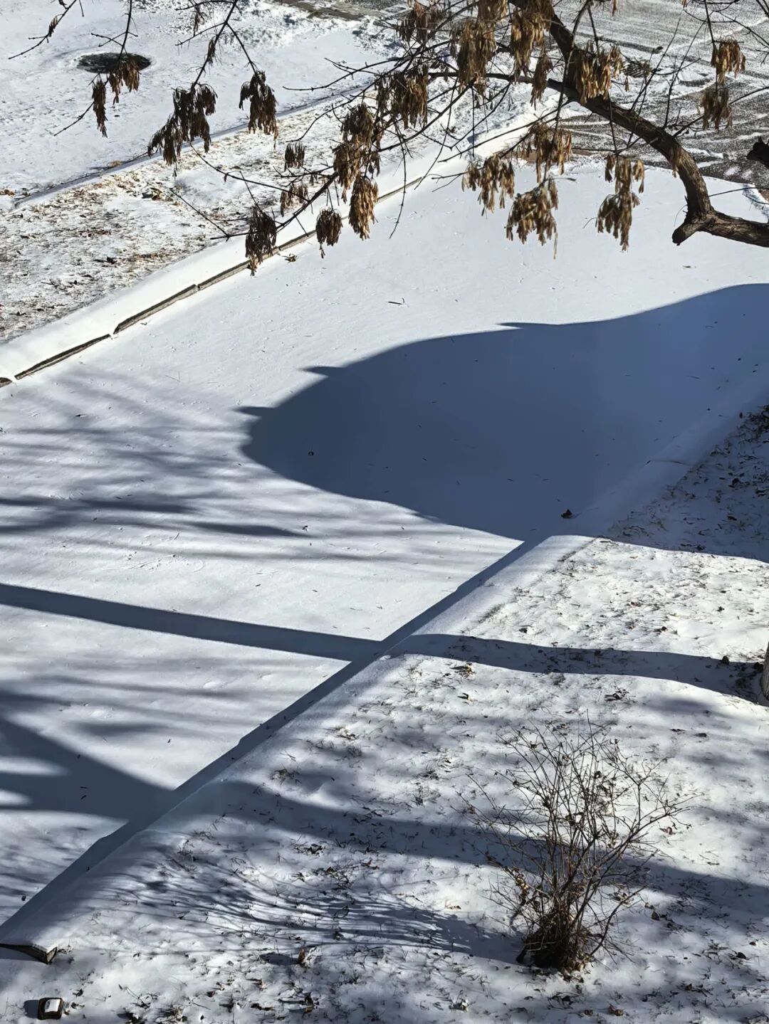 局地10级大风！辽宁未来三天还会迎接大雪+降温！