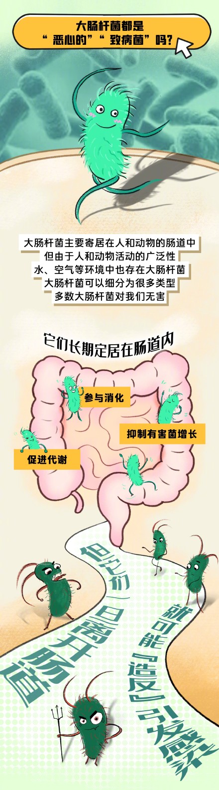 大肠杆菌为什么会出现在饭店餐具上