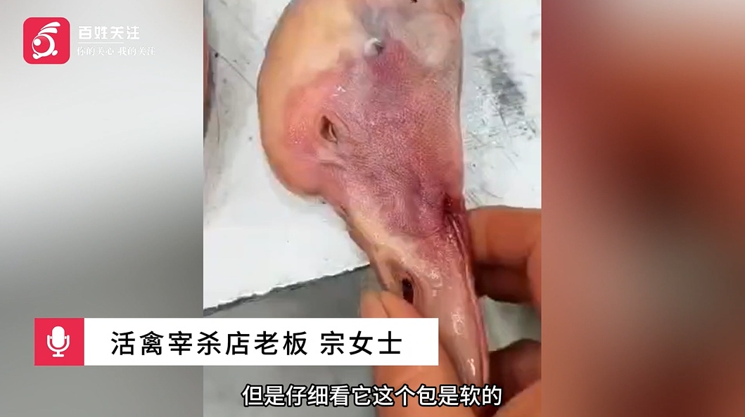 挂鹅头卖鸭肉？顾客买到两只假大鹅：不仔细看都看不出来