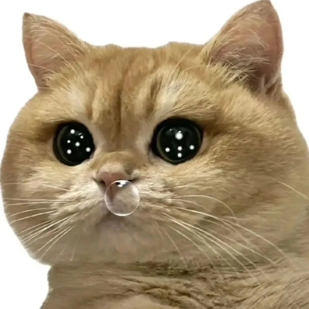 “买了两根烤肠，‘自’一根‘己’一根”爱你老己明天见！！！