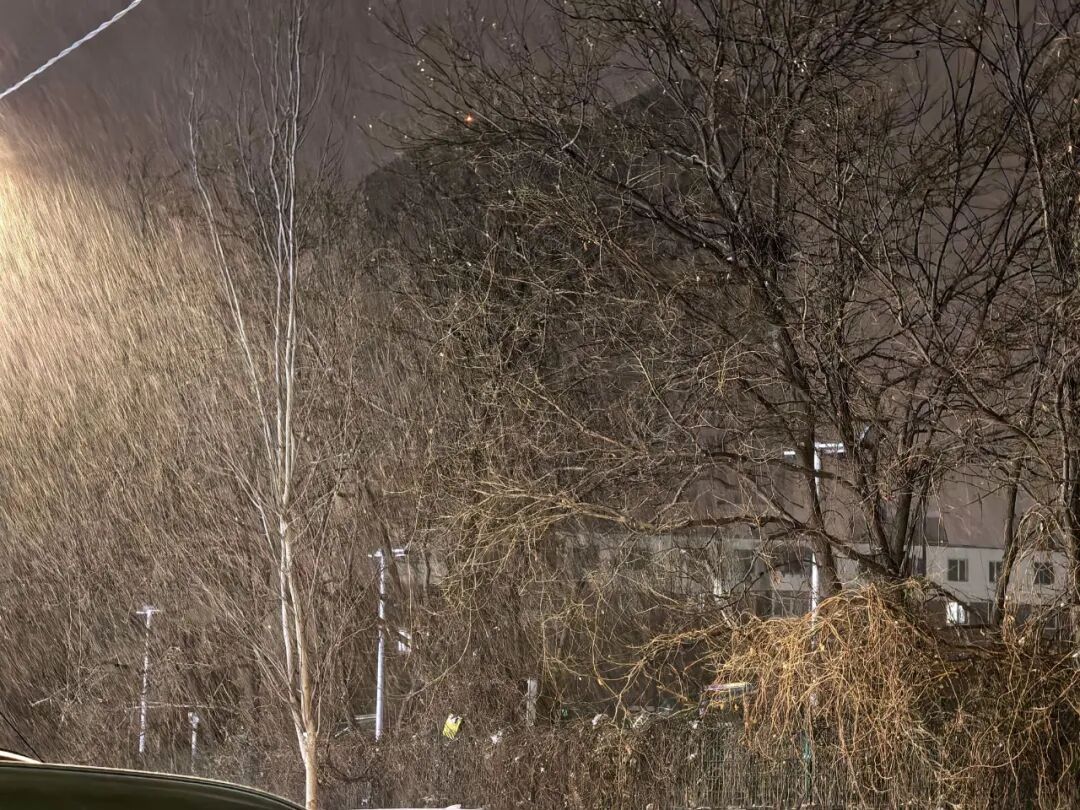 局地10级大风！辽宁未来三天还会迎接大雪+降温！