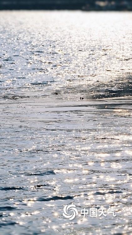 北京什刹海半冰半水 户外滑冰尚需等待