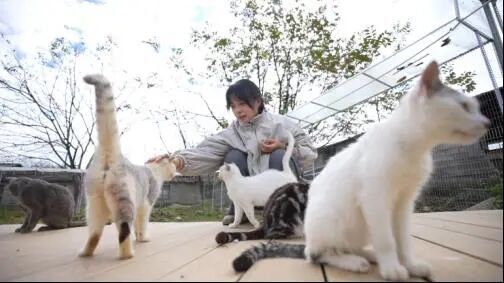 有人一年“蹭”近百场婚宴，就为了打包剩菜带回家？原因很治愈