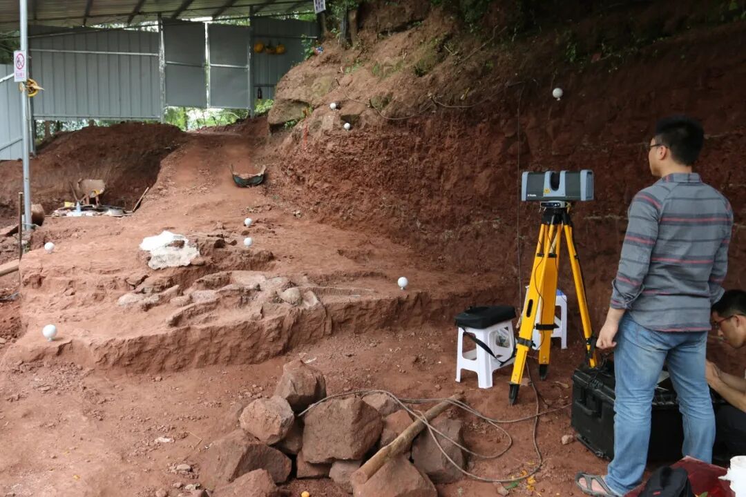 重庆发现恐龙新种！距今约1.6亿年，复原体长24米