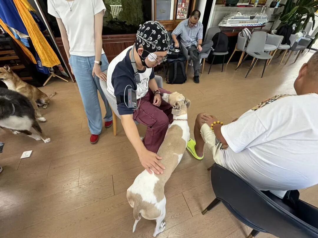 撸狗真能解压！“爪爪疗愈师”，“破冰”孤独症