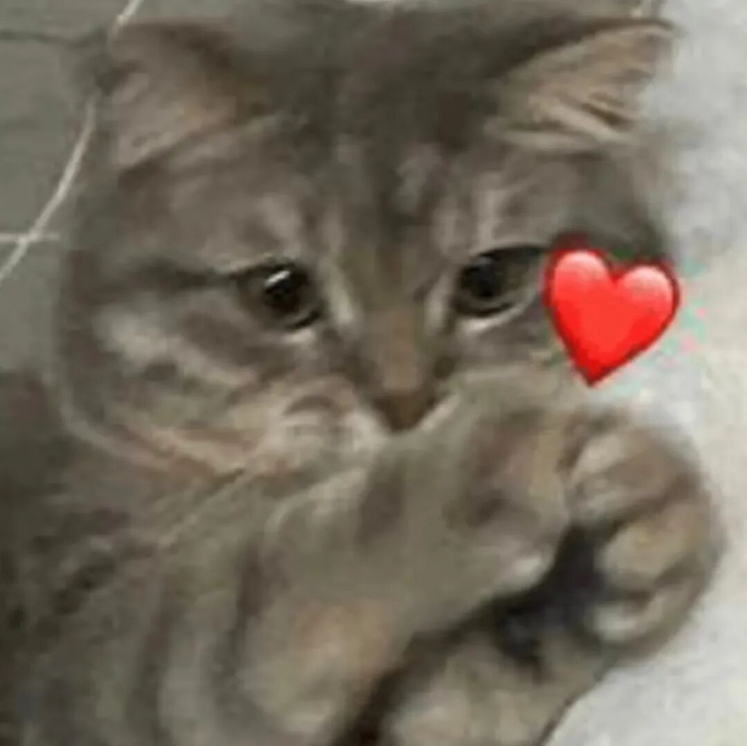 “买了两根烤肠，‘自’一根‘己’一根”爱你老己明天见！！！