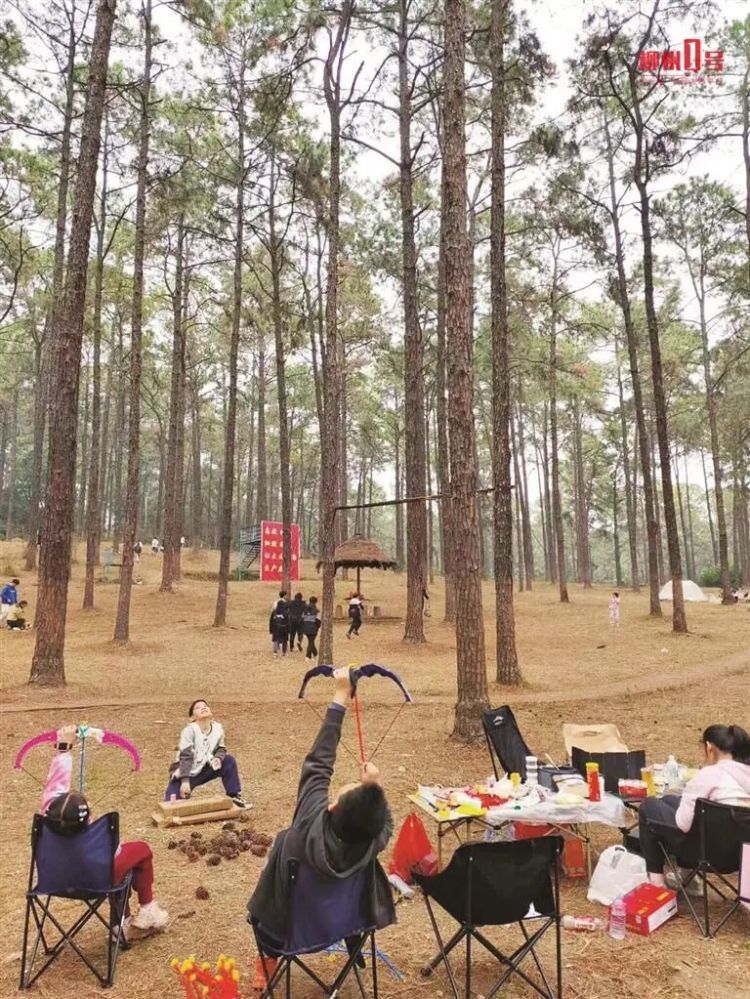 柳州多个停业景区、公园成热门打卡地？管理方提醒：不要去！不要去！