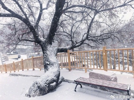 昌平第一波雪景图来了 昌平第一波雪景图来了