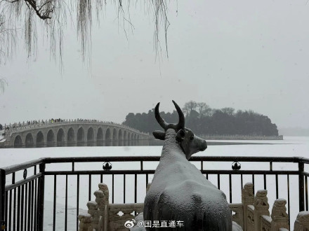 一起感受北京雪景