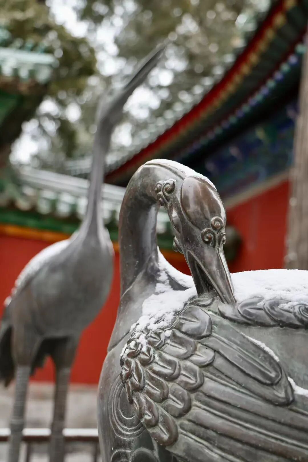 京城初雪！一大波雪景美图来了——