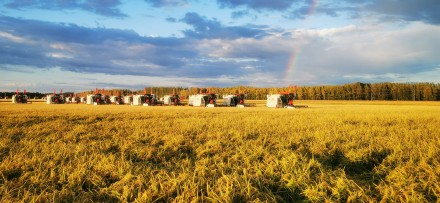 2025年黑龙江粮食总产量1640.06亿斤