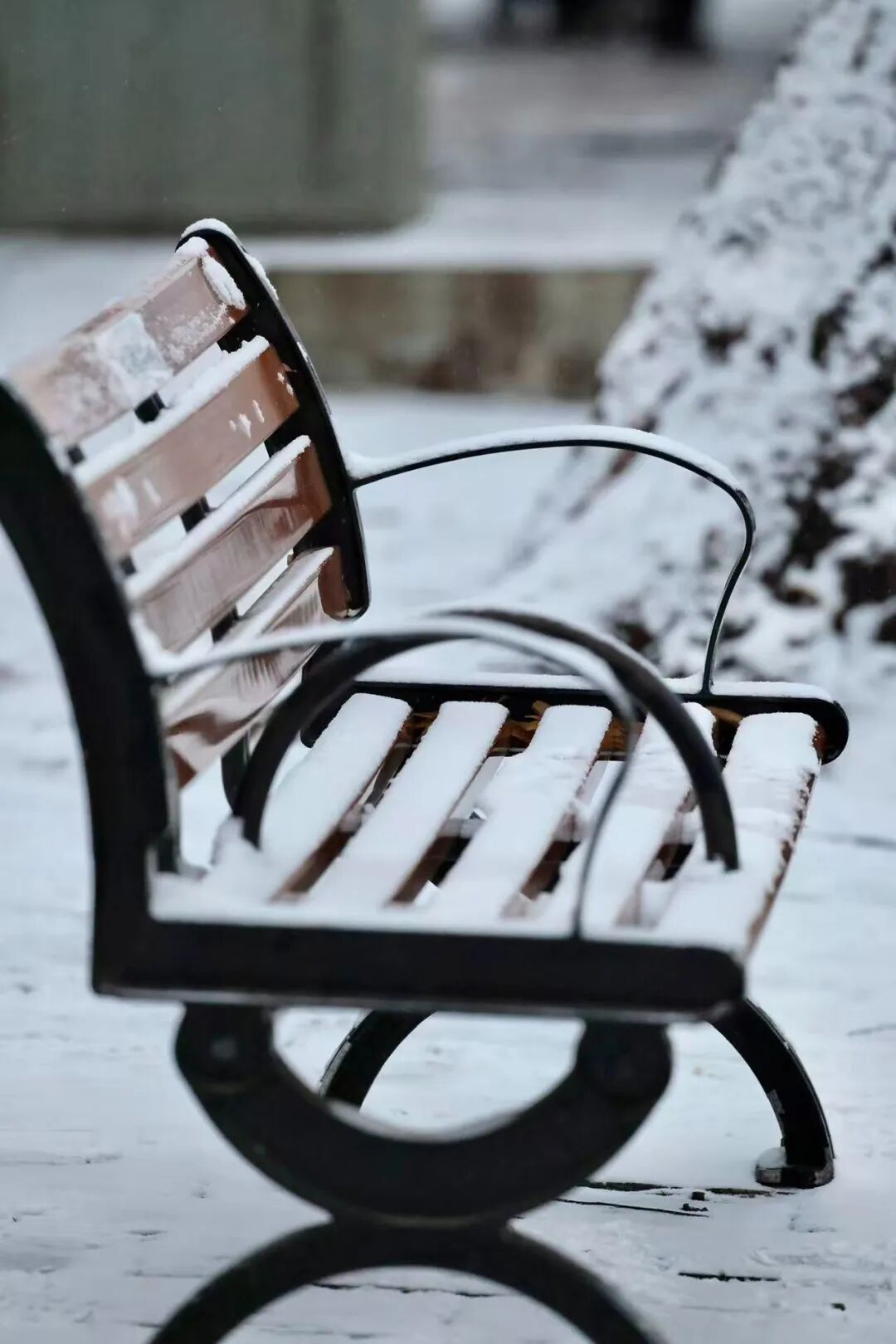 京城初雪！一大波雪景美图来了——