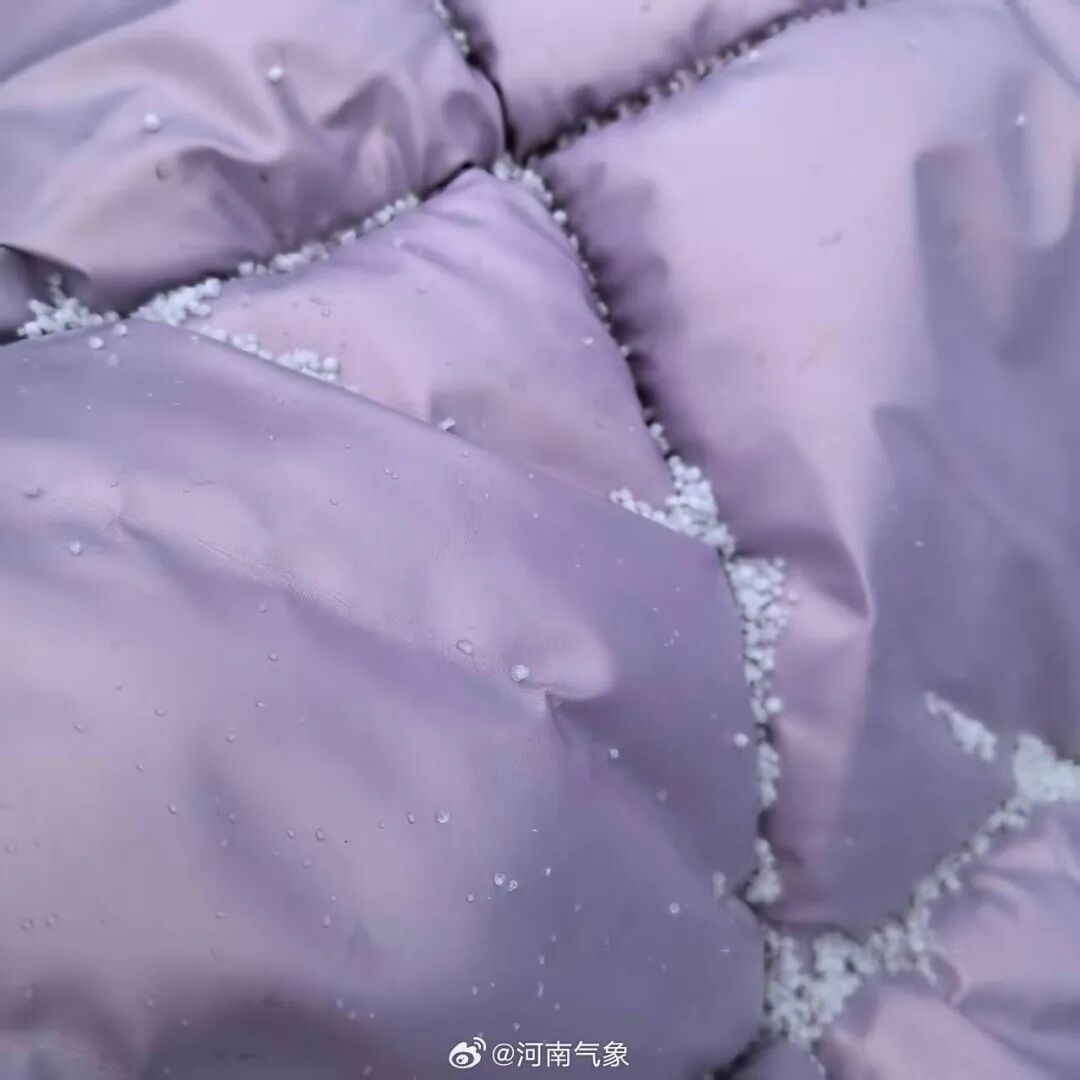 下雪啦！河南多地雪粒已转雪，接下来还有中到大雪，局部暴雪