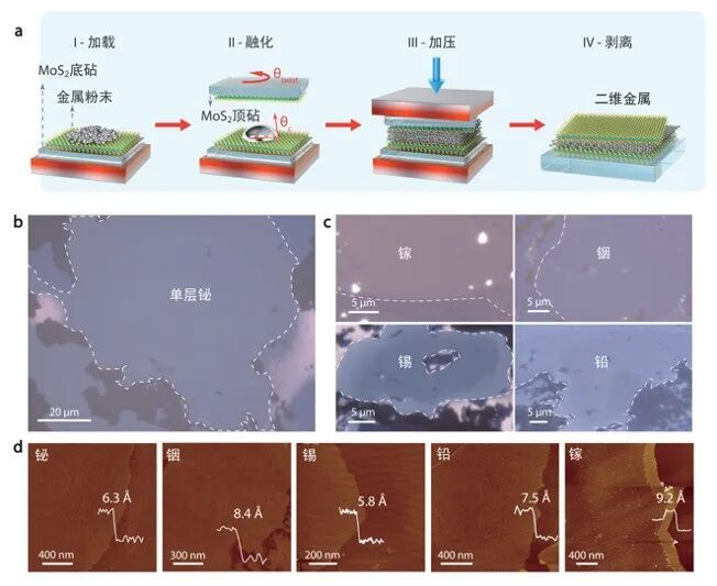 《物理世界》公布2025年度十大突破！中国团队成果入选