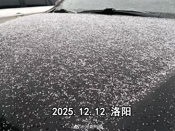 大到暴雪！河南多家景区发布闭园通知→