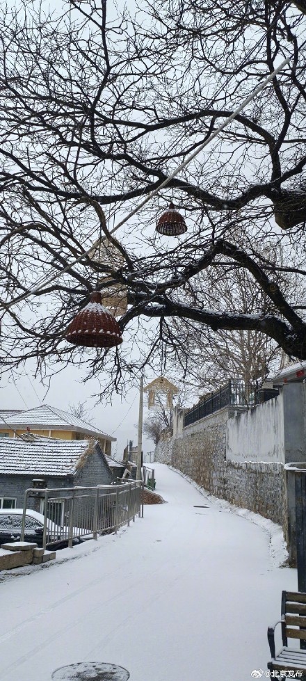 昌平第一波雪景图来了 昌平第一波雪景图来了