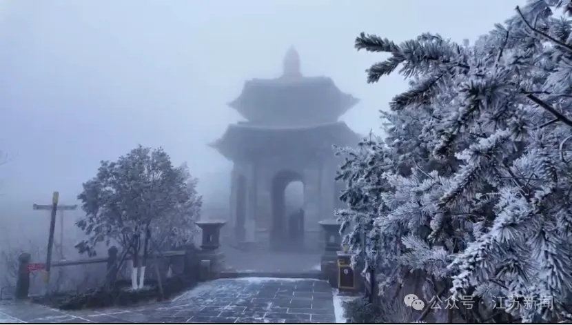 上海最低-4℃！48小时内气温暴跌11℃，冷空气+大风+雨水，寒潮预警已发布