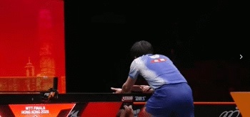 张本智和回应复刻樊振东庆祝动作：樊振东是我很喜欢的运动员