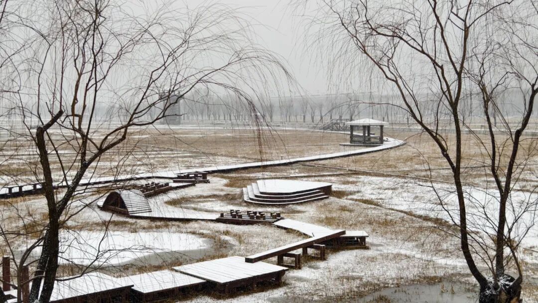 京城初雪！一大波雪景美图来了——