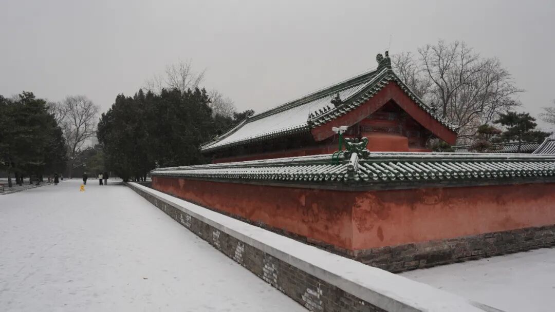 京城初雪！一大波雪景美图来了——