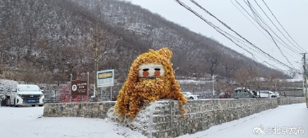 昌平第一波雪景图来了 昌平第一波雪景图来了