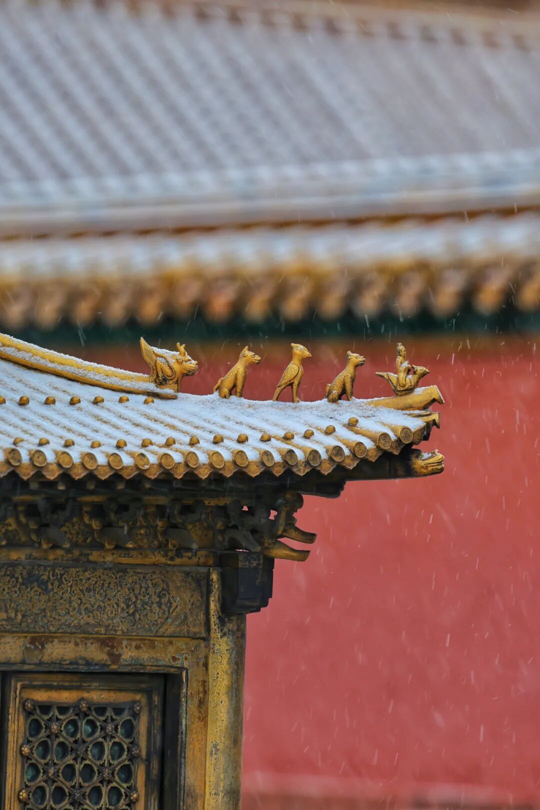 京城初雪！一大波雪景美图来了——