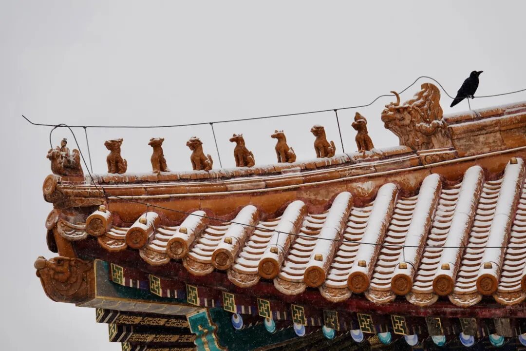 最大降雪量出现在房山!多条公交线路有调整,交管部门提示—— 最大降雪量出现在房山!多条公交线路有调整,交管部门提示——