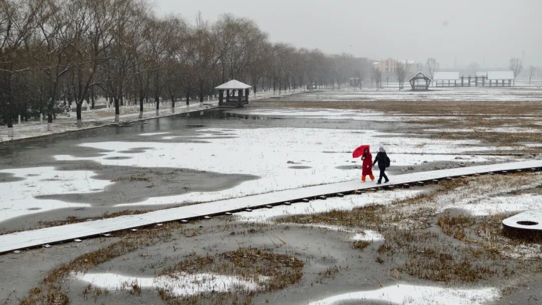 京城初雪！一大波雪景美图来了——