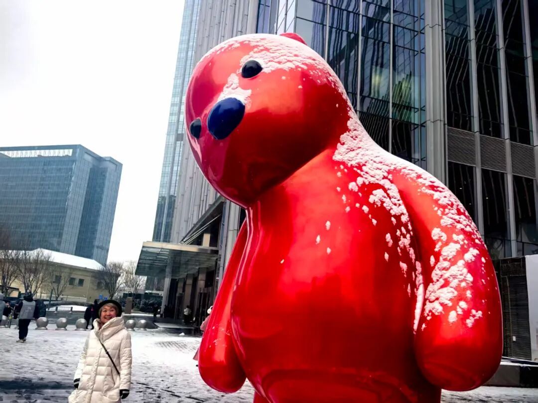 京城初雪！一大波雪景美图来了——