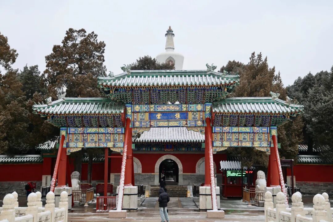 京城初雪！一大波雪景美图来了——