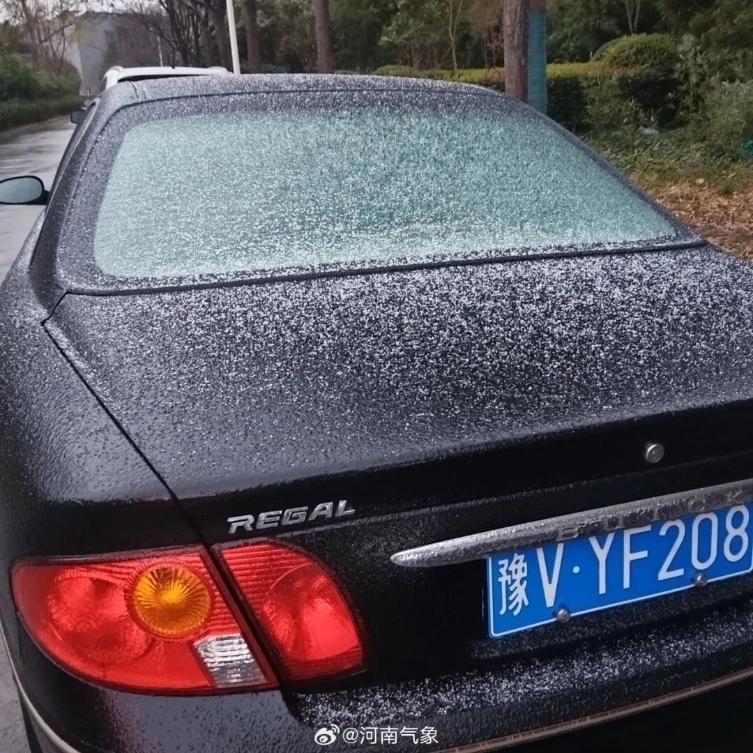 下雪啦！河南多地雪粒已转雪，接下来还有中到大雪，局部暴雪