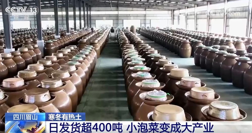 政策组合拳推动“小特产”变成“大产业” 一起揭开“下饭菜”富民密码 政策组合拳推动“小特产”变成“大产业” 一起揭开“下饭菜”富民密码